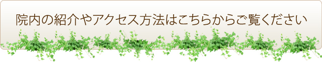 院内の紹介やアクセス方法はこちらからご覧ください