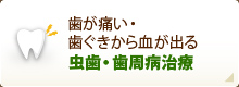 歯が痛い・歯ぐきから血が出る 虫歯・歯周病治療