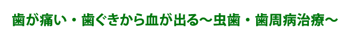 歯が痛い・歯ぐきから血が出る～虫歯・歯周病治療～