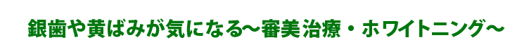 銀歯や黄ばみが気になる～審美治療・ホワイトニング～