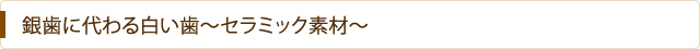 銀歯に代わる白い歯～セラミック素材～